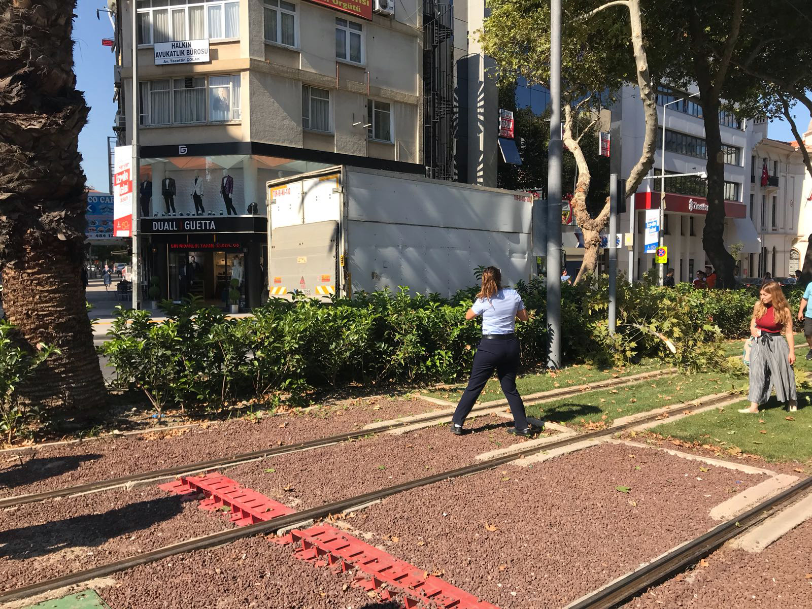 Kamyonet çınara çarptı