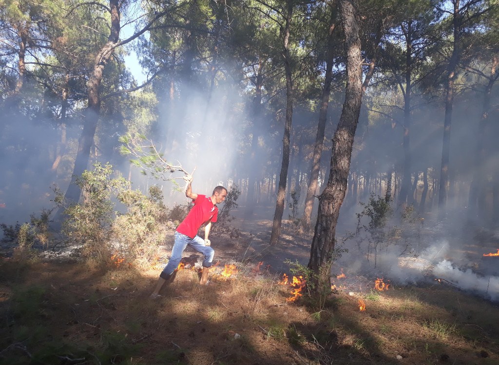 İzmir'in ciğerleri yandı