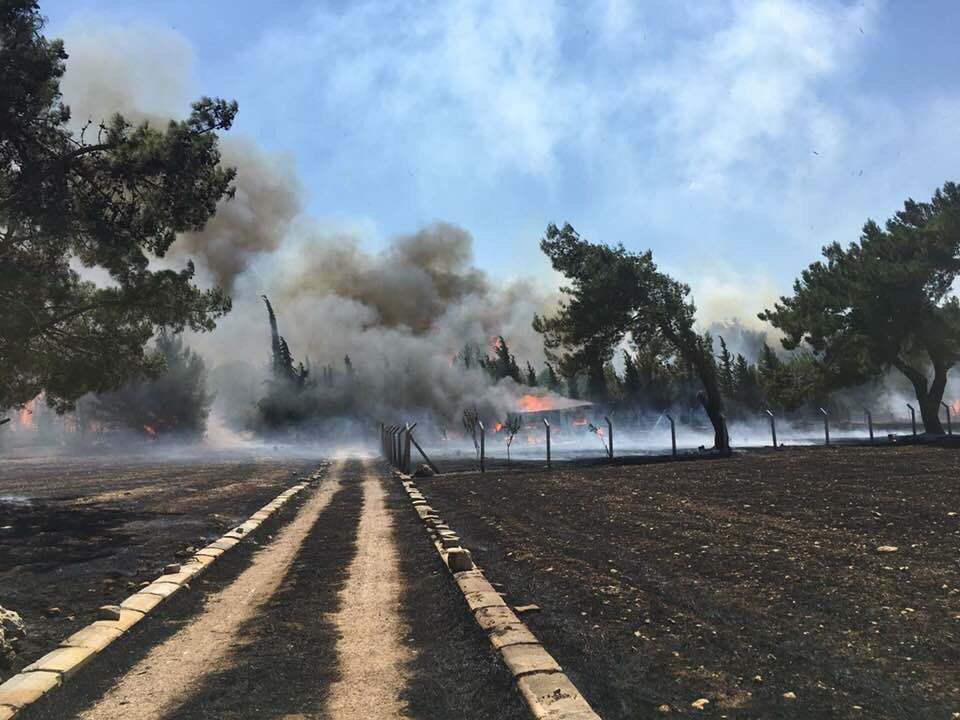İzmir'in ciğerleri yandı