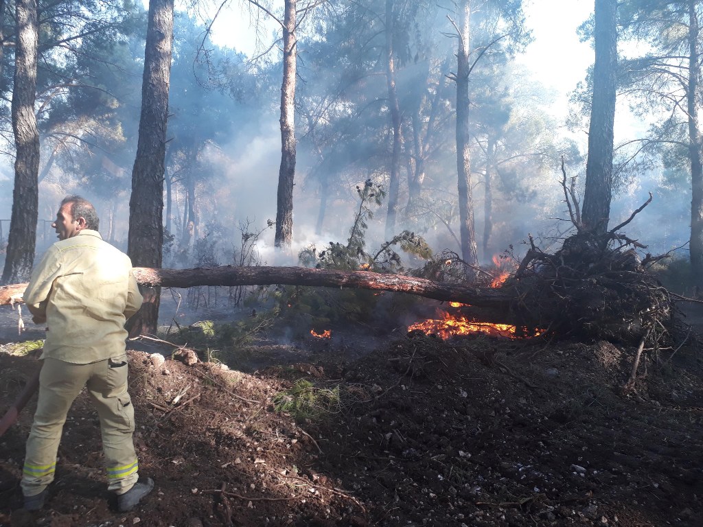 İzmir'in ciğerleri yandı