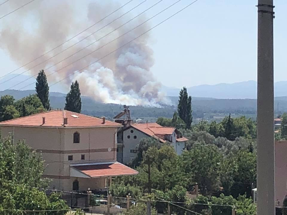 İzmir'in ciğerleri yandı