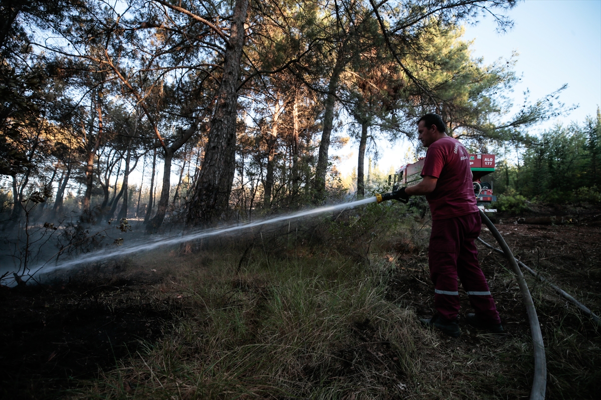 İzmir'in ciğerleri yandı