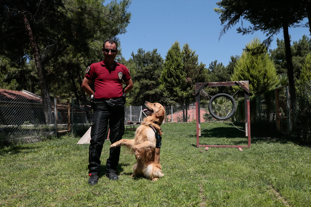 Suçluların korkulu rüyası...