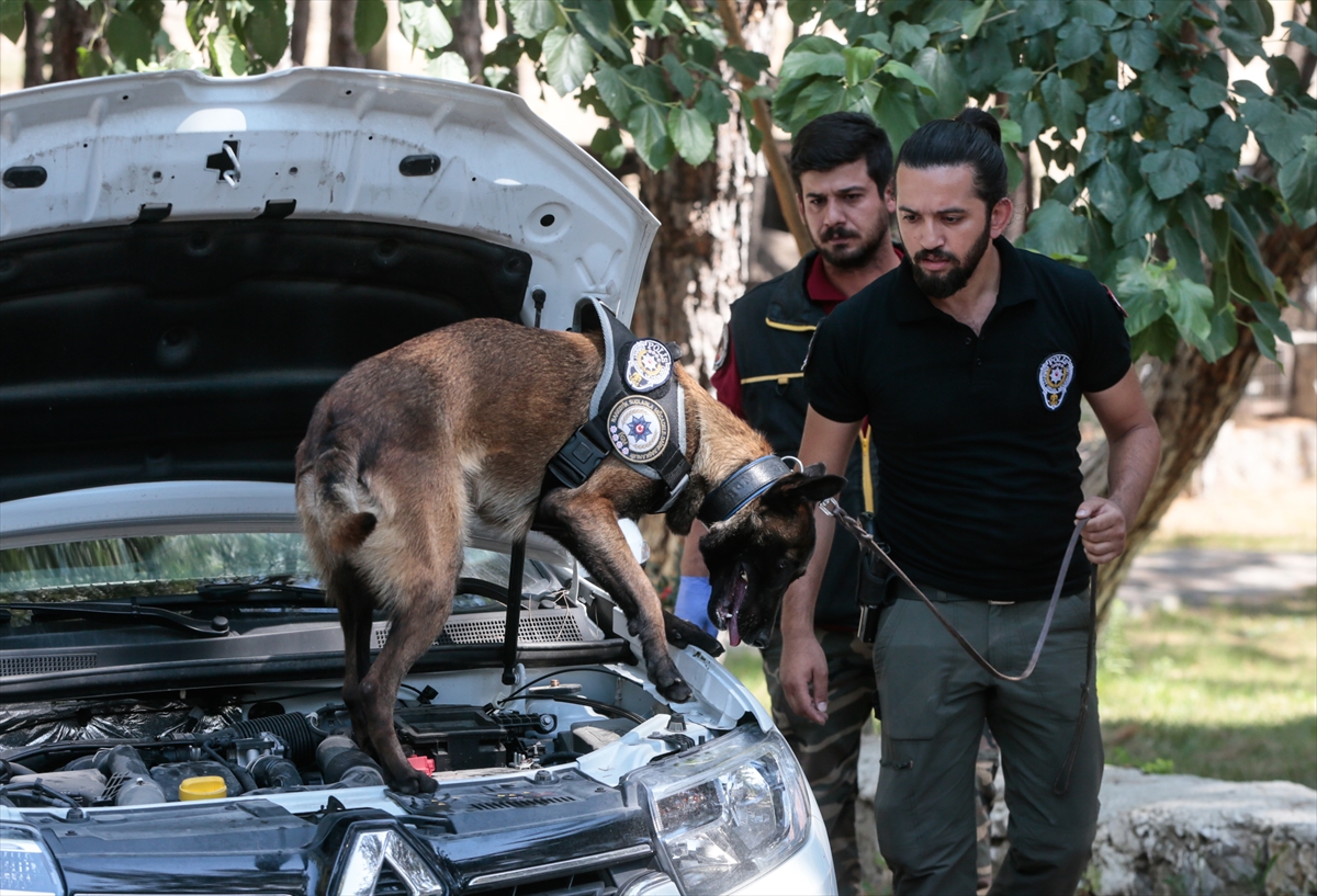 Suçluların korkulu rüyası...