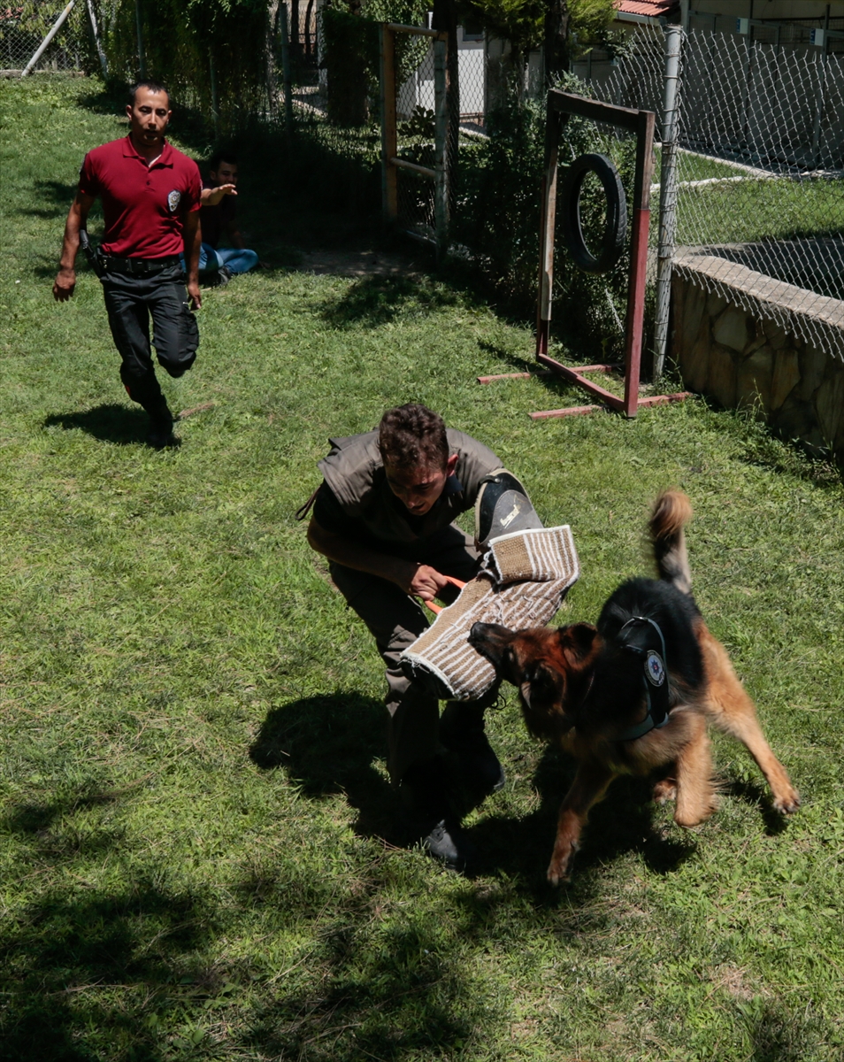 Suçluların korkulu rüyası...