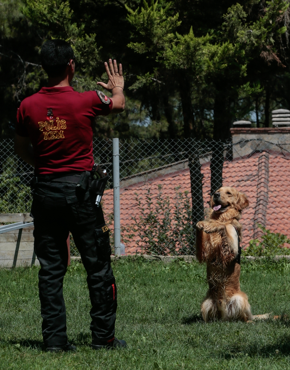 Suçluların korkulu rüyası...