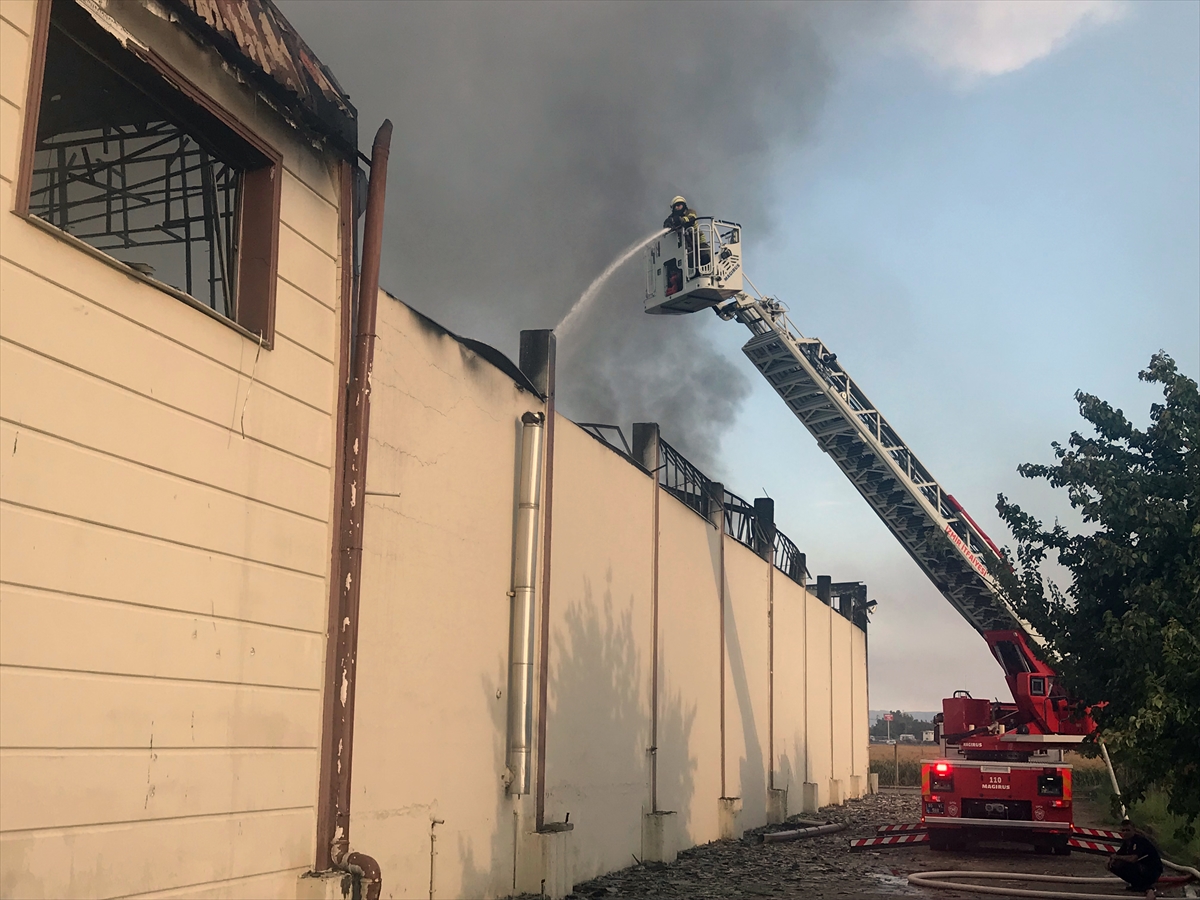 İzmir'de mobilya fabrikası kül oldu