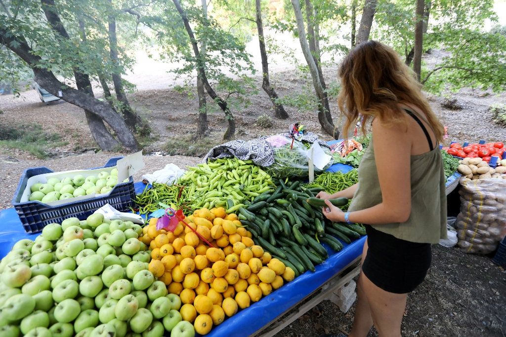 İzmirliler 'dijital detoks' festivalinde buluştu!