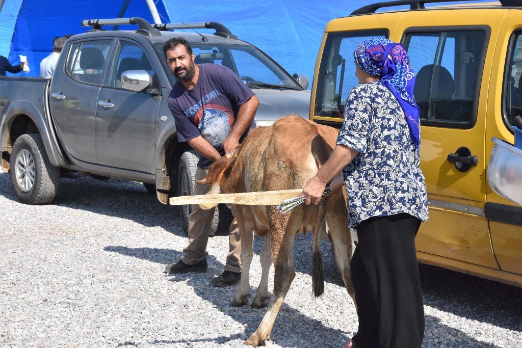 İzmir'de kurban pazarı yoğunluğu