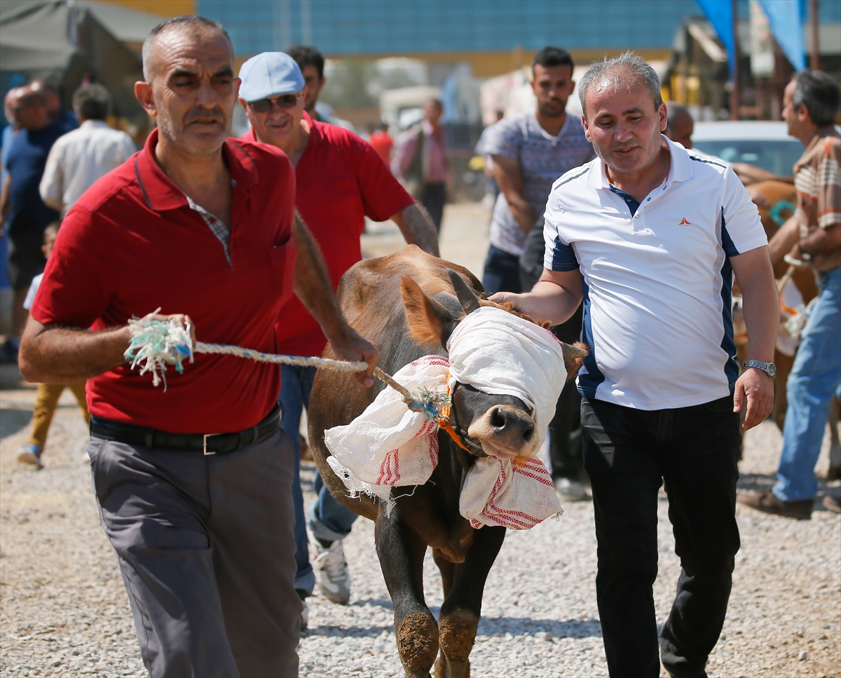 İzmir'de kurban pazarı yoğunluğu
