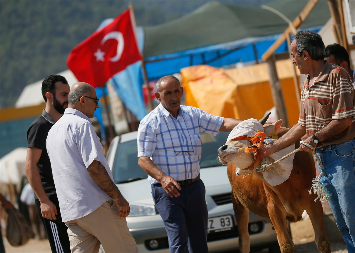 İzmir'de kurban pazarı yoğunluğu