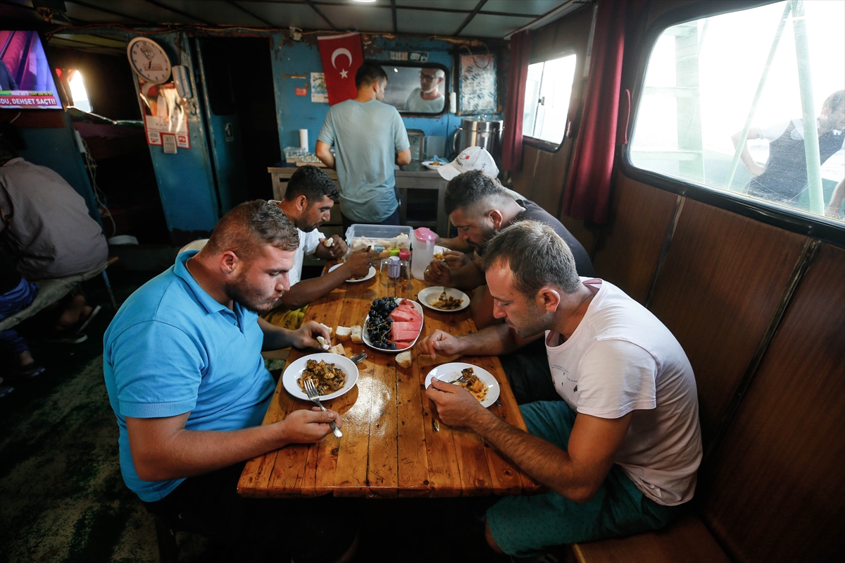 Denizin mevsimlik işçileri!