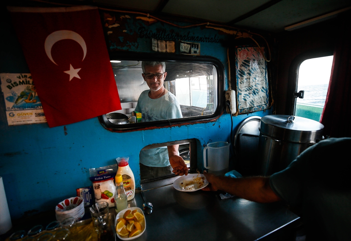 Denizin mevsimlik işçileri!