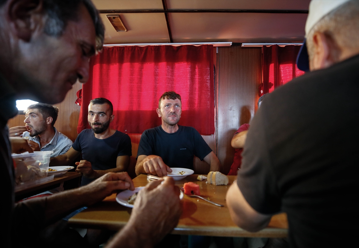 Denizin mevsimlik işçileri!