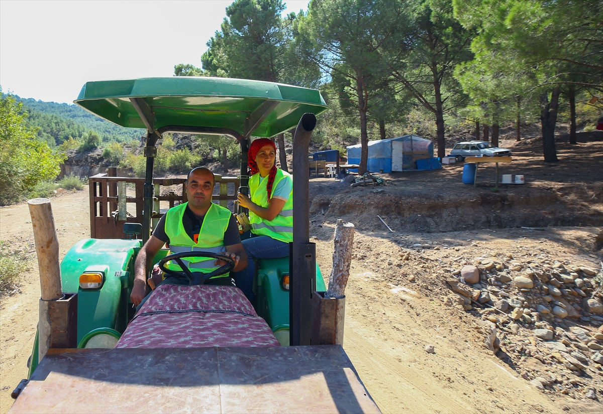 Ormanların emektar kadınları..