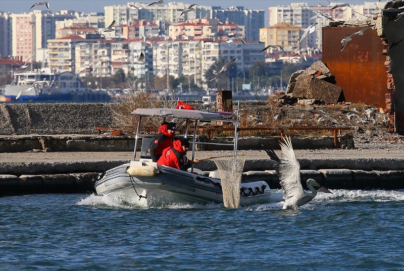 İzmir'de pelikan operasyonu