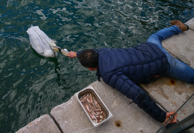 İzmir'de pelikan operasyonu