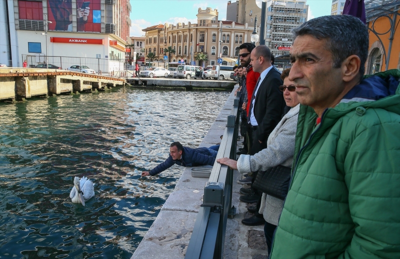 İzmir'de pelikan operasyonu