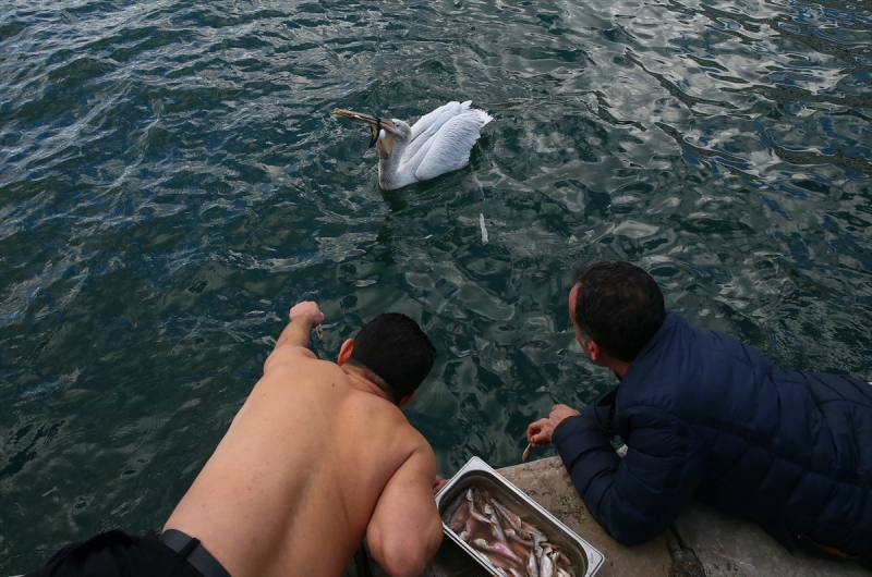 İzmir'de pelikan operasyonu