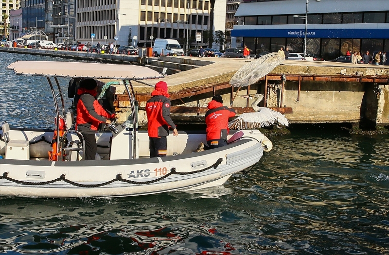 İzmir'de pelikan operasyonu