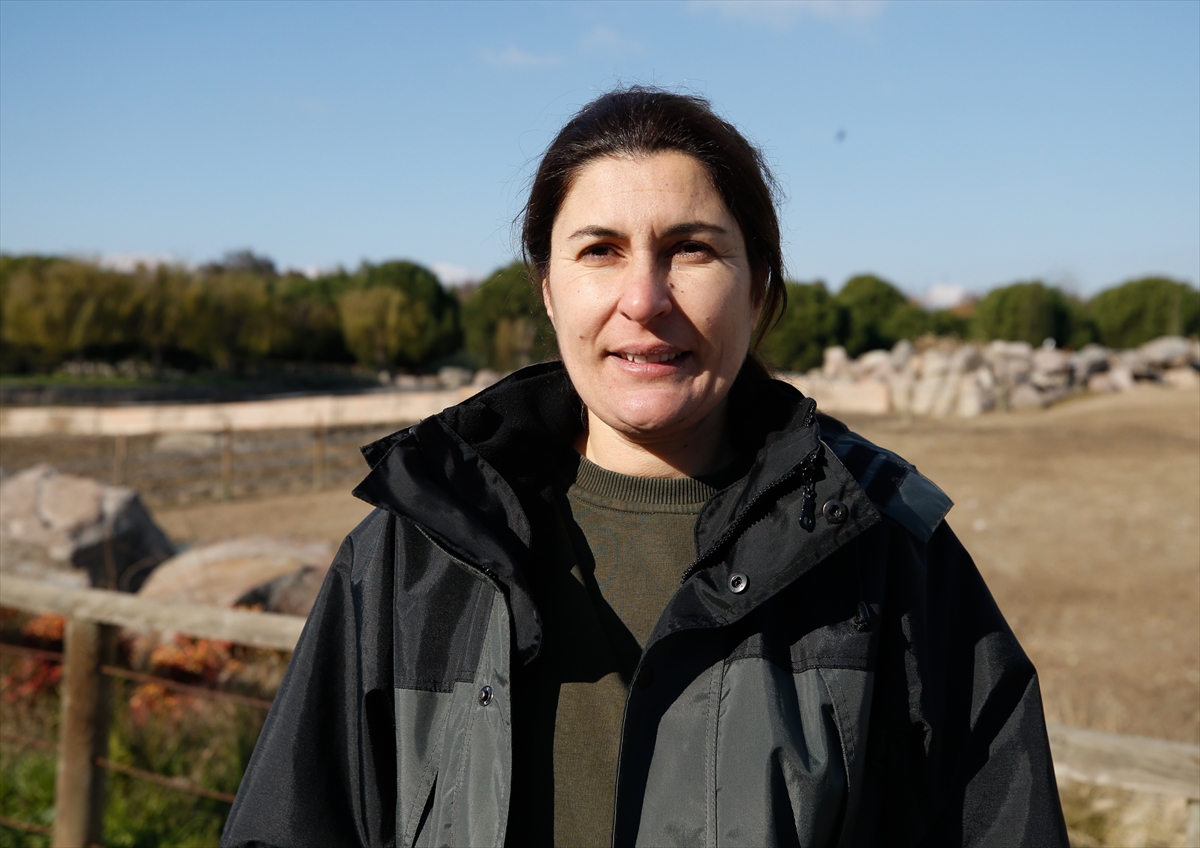 Tropik hayvanlara özel menü