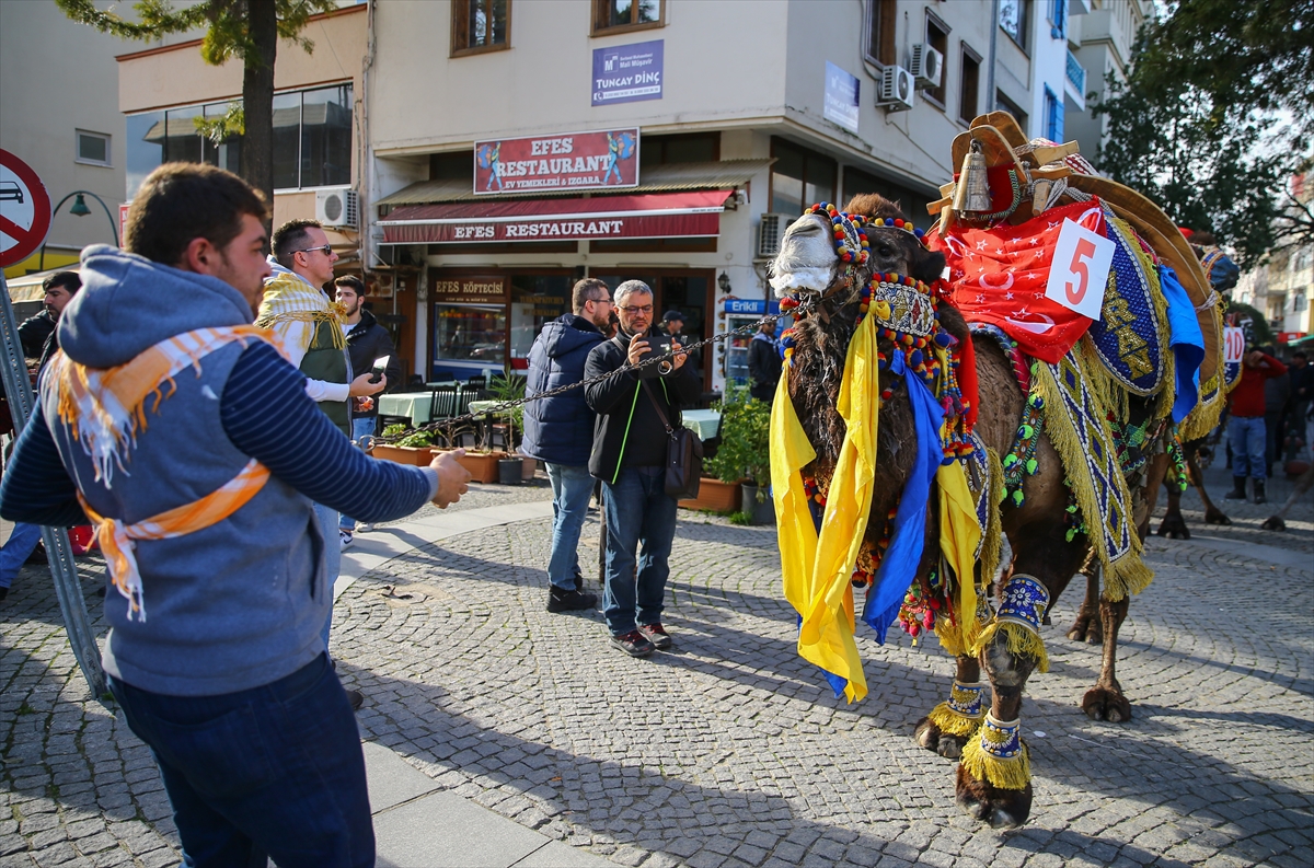 En güzel deve seçildi