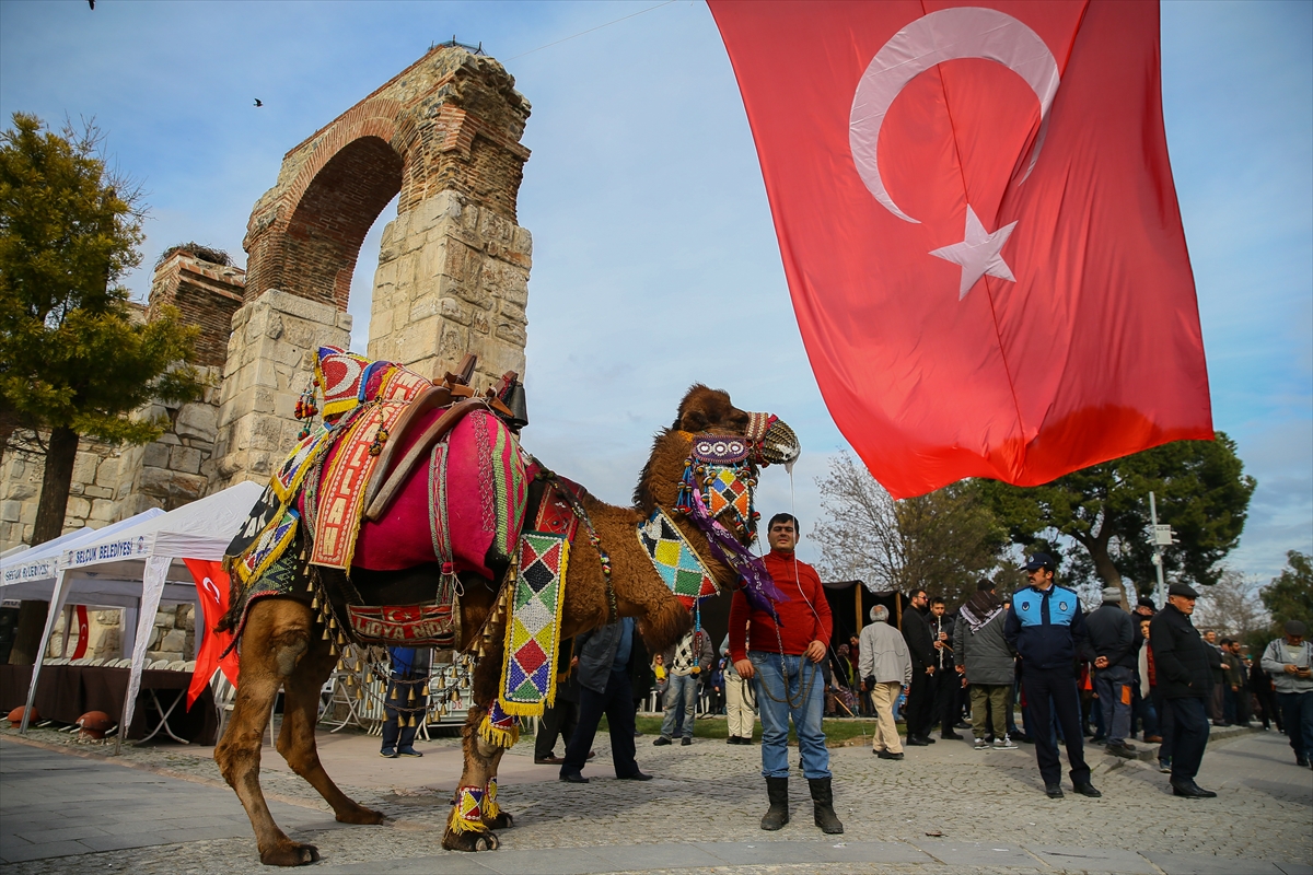 En güzel deve seçildi