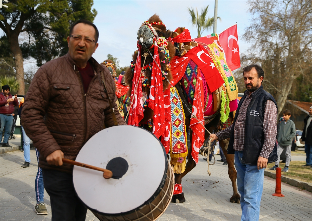 En güzel deve seçildi