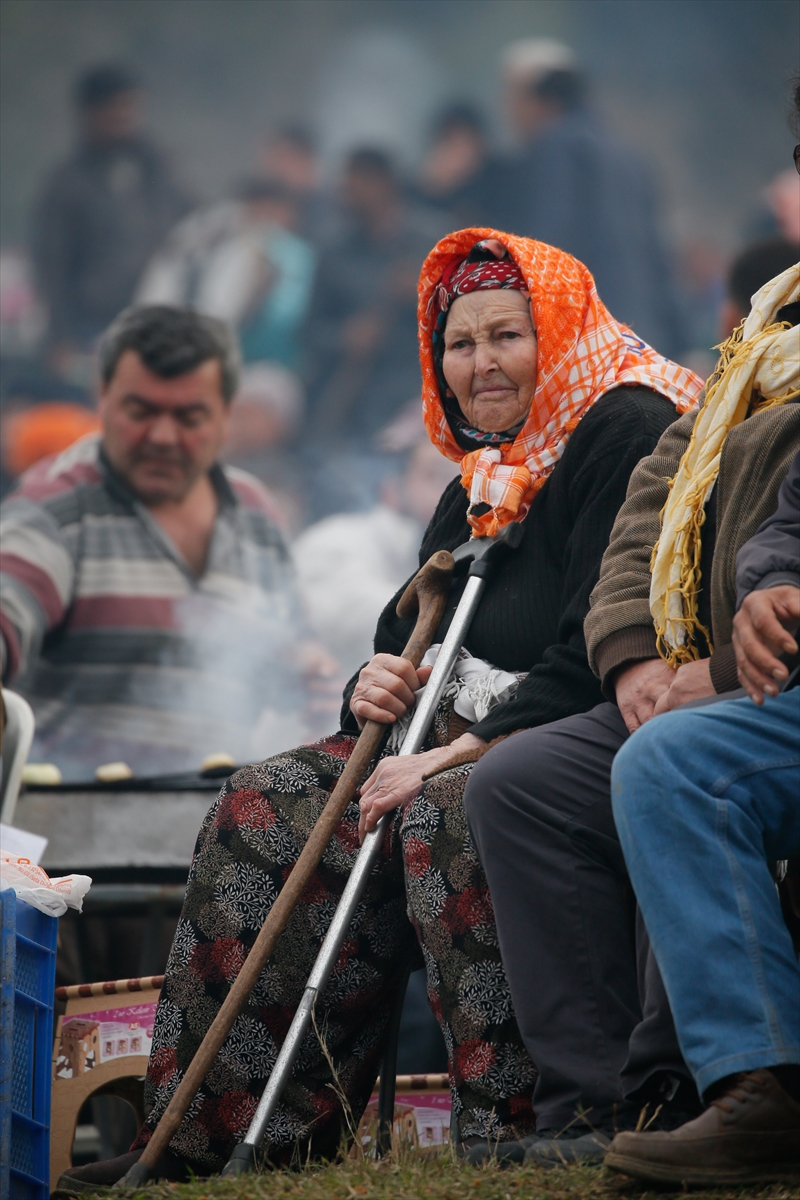 37. Selçuk Efes Deve Güreşi Festivali