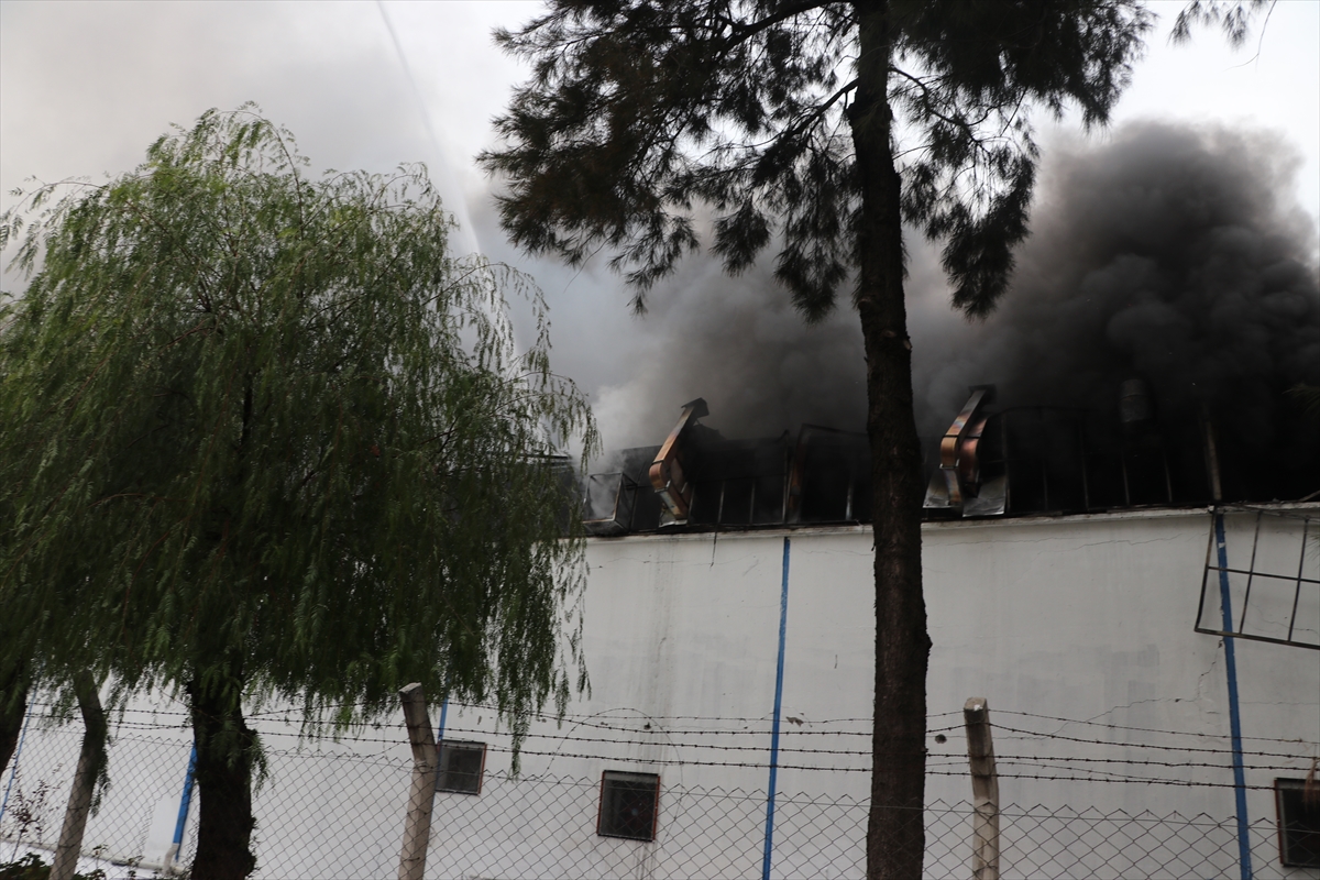 İzmir'de fabrika yangını