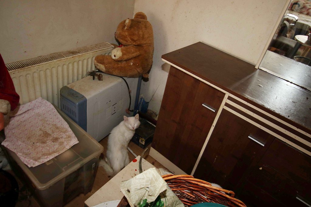 Bayraklı Belediyesi'nden çöp ev operasyonu