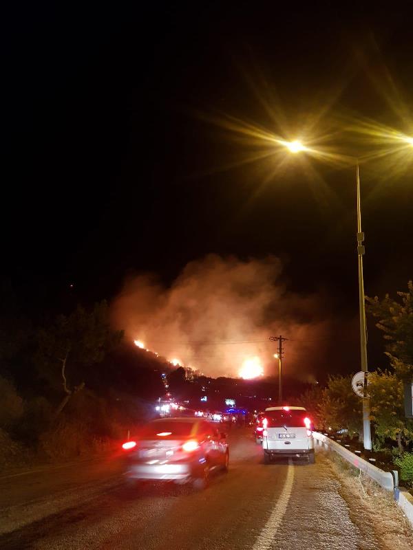 İzmir'in ciğerleri yandı; Dikili ve Özdere'de korkutan yangınlar