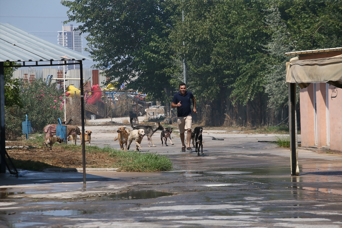 İzmir'de palet deposunda yangın