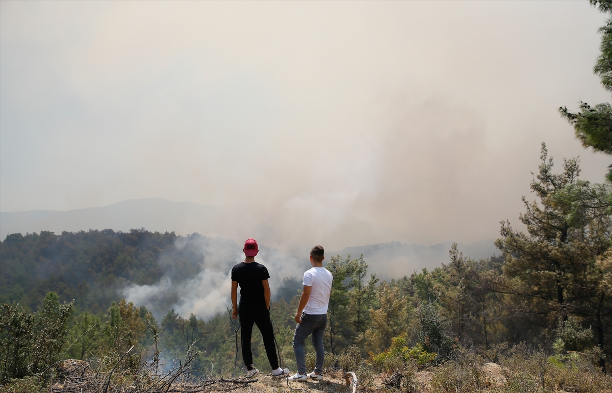 İzmir'in akciğerleri kül oldu...