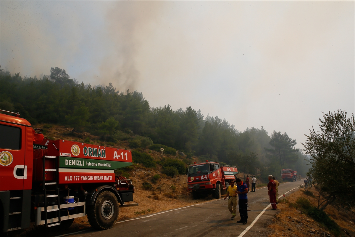 İzmir'in akciğerleri kül oldu...