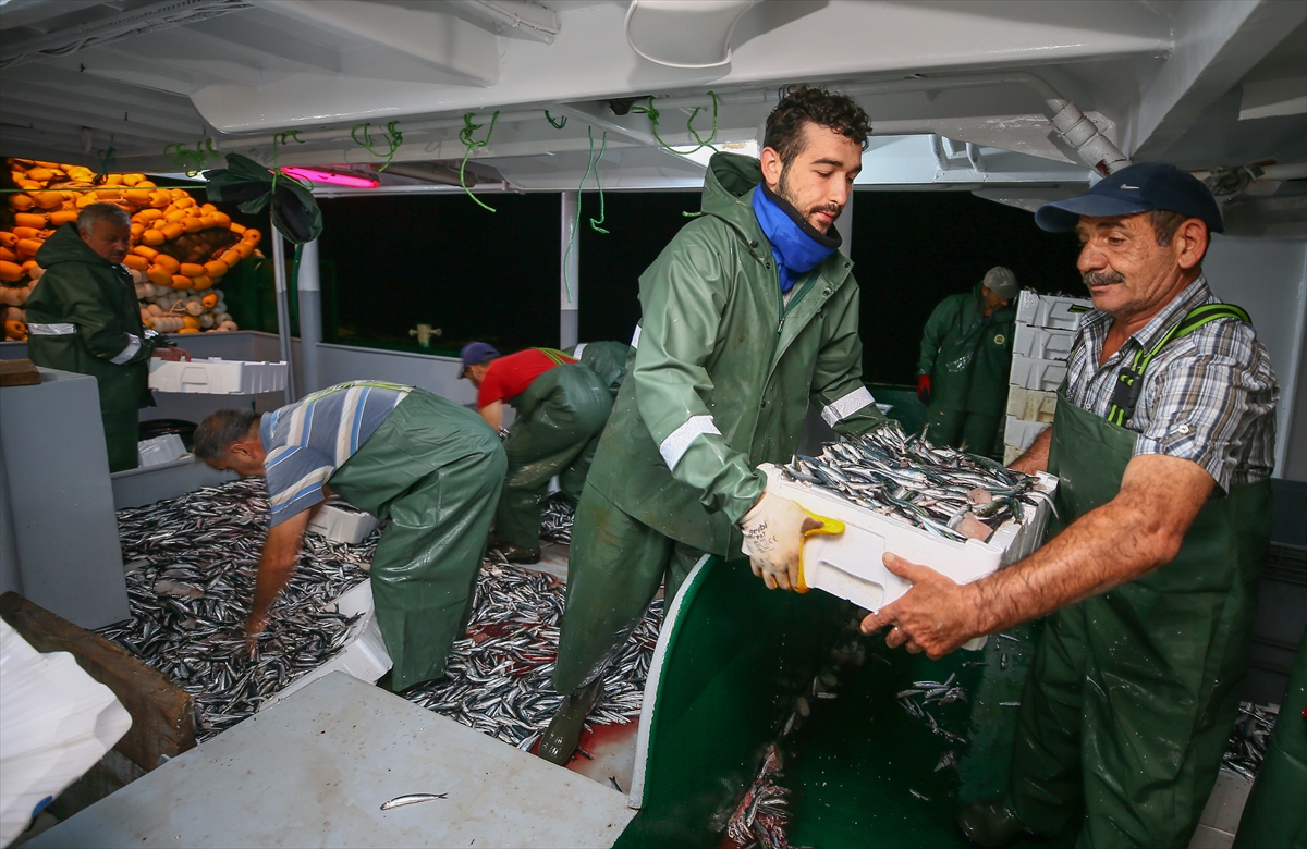 İzmir'de balık avı sezonu heyecanı