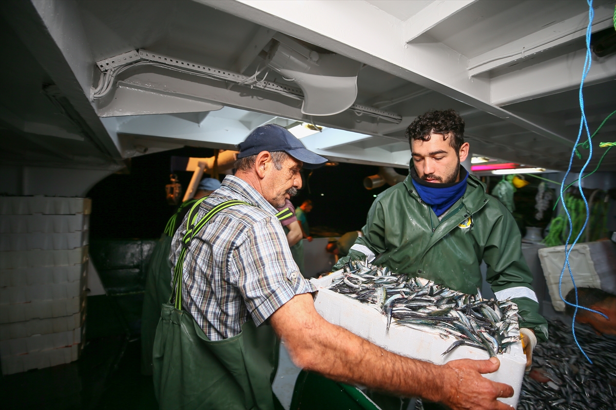 İzmir'de balık avı sezonu heyecanı