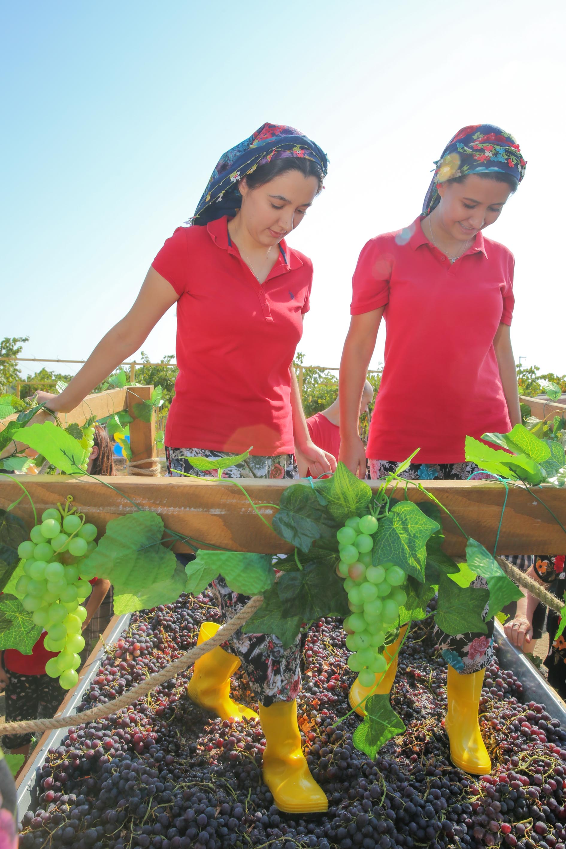Buca’da bağ bozumu coşkusu