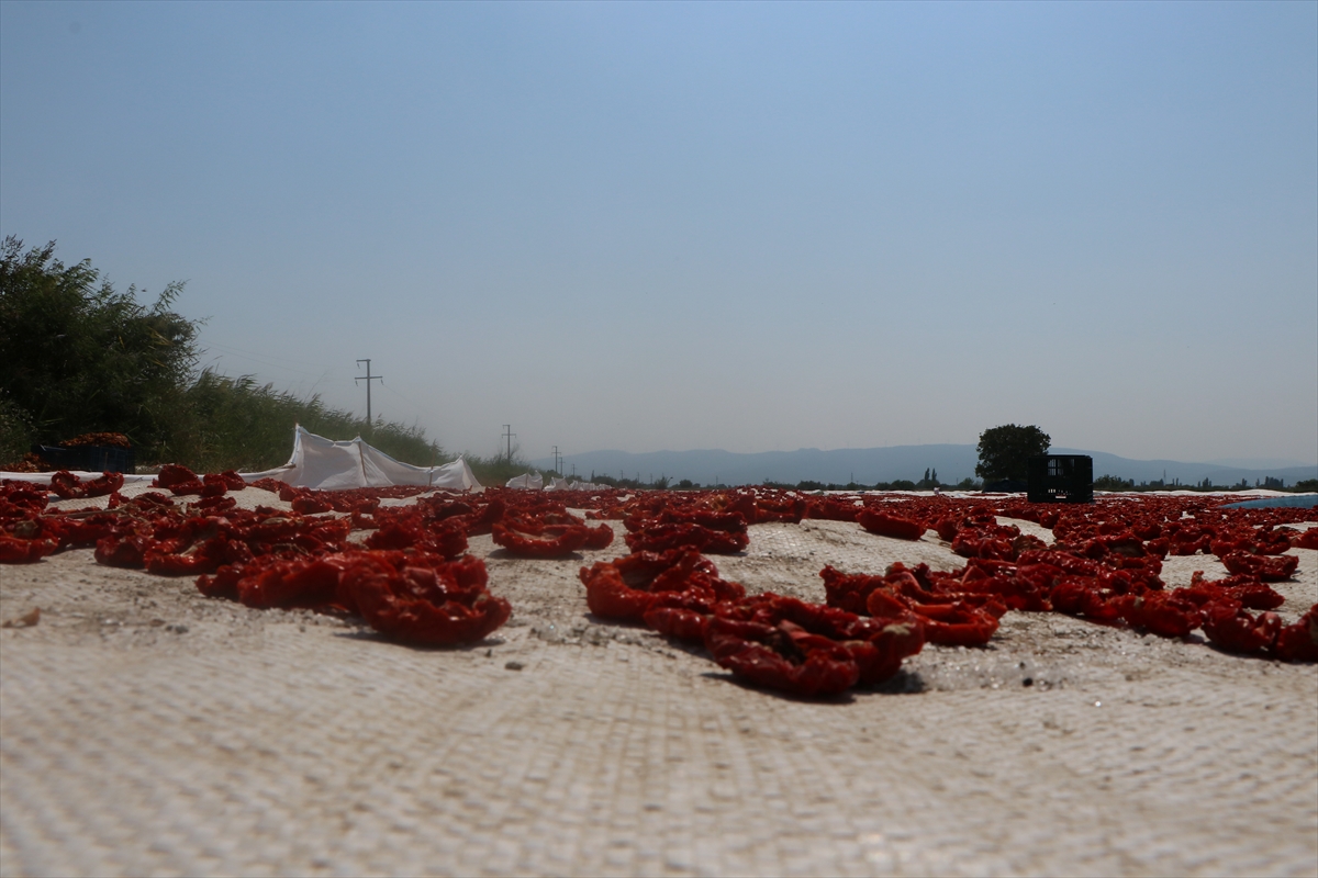 İzmir'den 85 ülkeye gidiyor