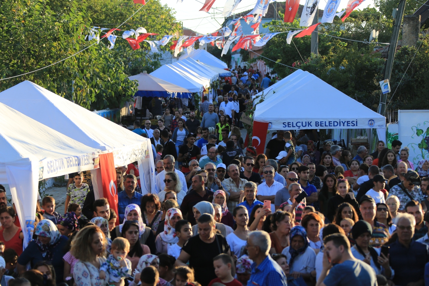 Şerefine Salkım Hanım Üzüm Şenliği coşkusu