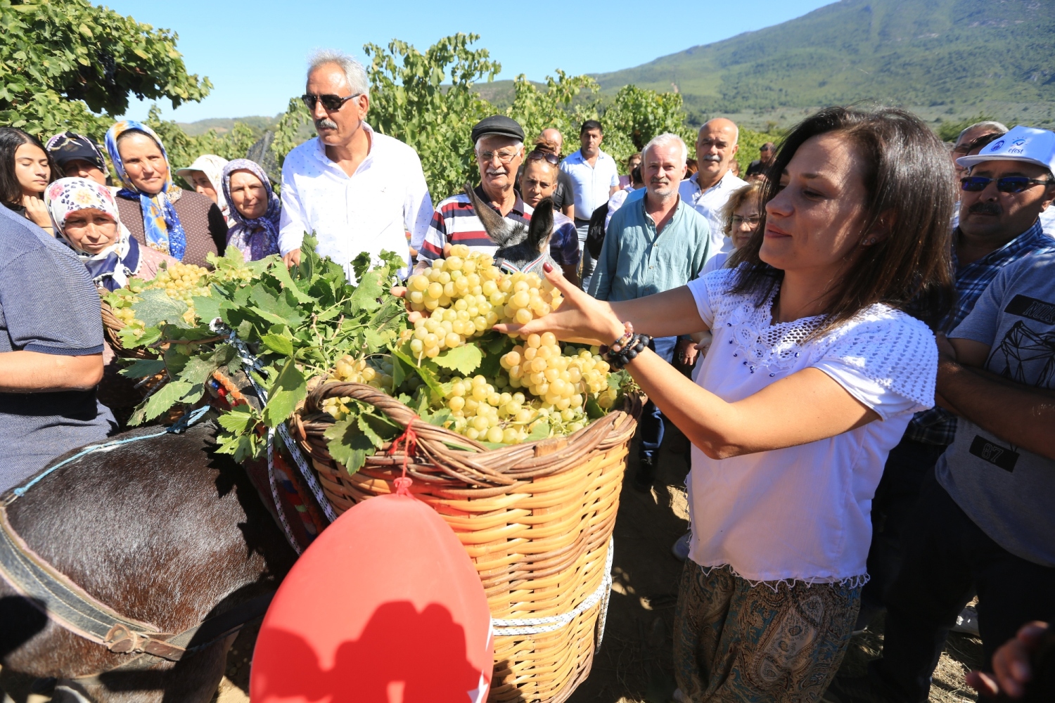 Şerefine Salkım Hanım Üzüm Şenliği coşkusu