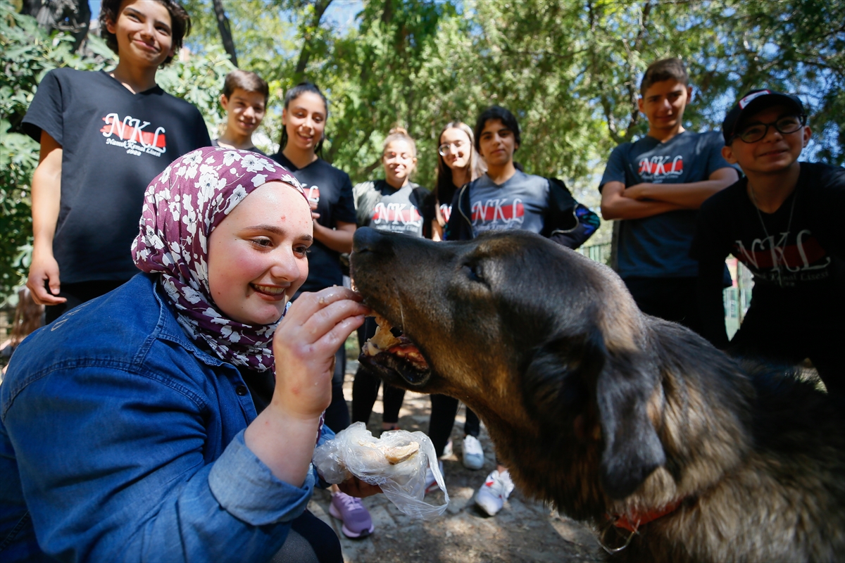 Bu okulda ilk ders hayvan sevgisi