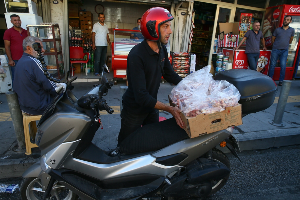 300 sokak hayvanına bakıyor