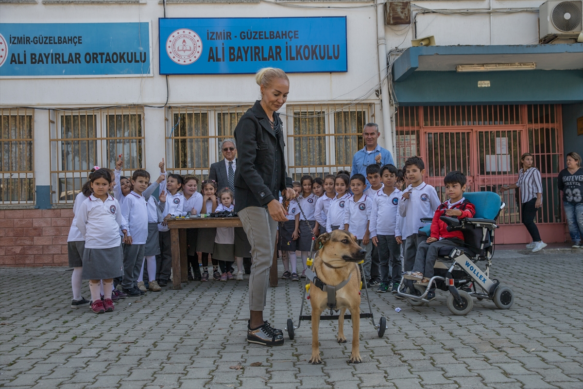 Sakat hayvanlara 'ayak' oluyor