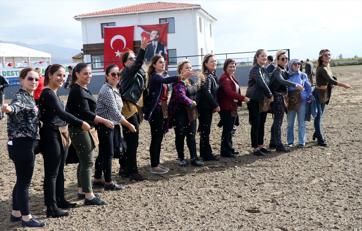 İzmir'de karakılçık buğdayı toprakla buluşturuldu