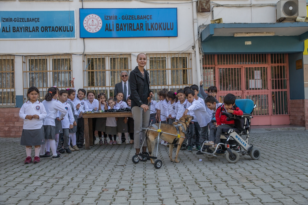 Sakat hayvanlara 'ayak' oluyor