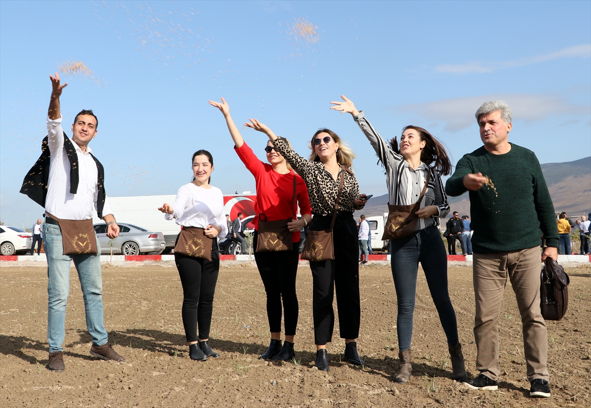 İzmir'de karakılçık buğdayı toprakla buluşturuldu