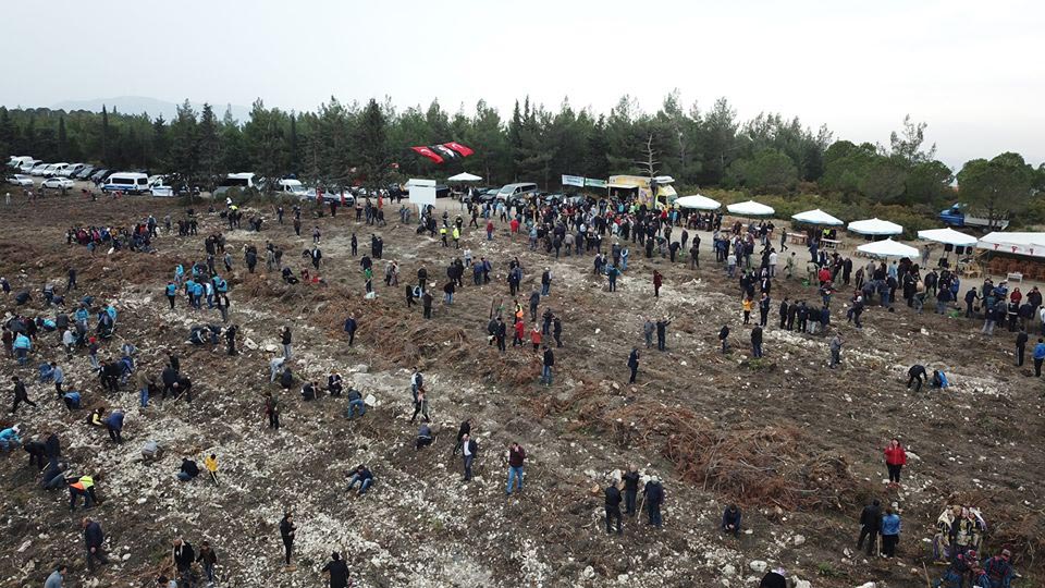 İzmir'de fidanlar toprakla buluştu