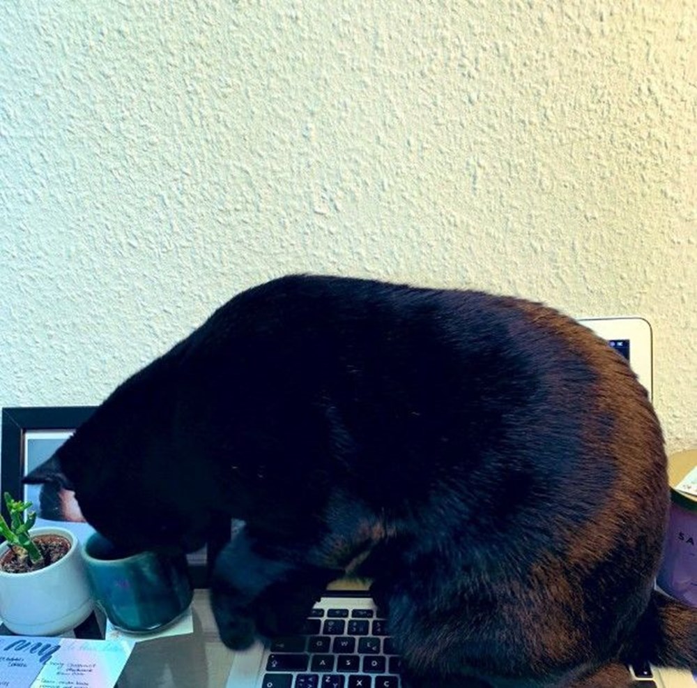 Koronavirüs nedeniyle ‘home office’ çalışanlardan kareler