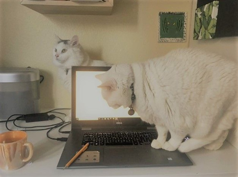 Koronavirüs nedeniyle ‘home office’ çalışanlardan kareler